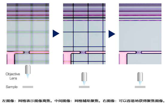 奥林巴斯辅助聚集.jpg