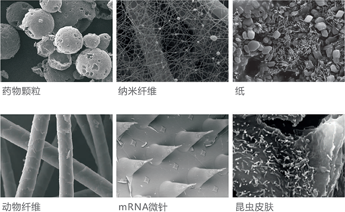 扫描电子显微镜下的材料科学