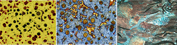 潍坊金相显微镜应用之金相组织分析