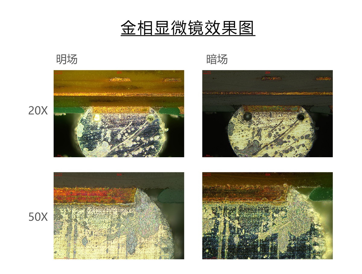 奥林巴斯20x50x明场暗场效果图2.jpg